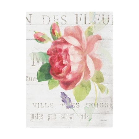 TRADEMARK FINE ART Danhui Nai 'Maison Des Fleurs Viii' Canvas Art, 14x19 WAP10176-C1419GG